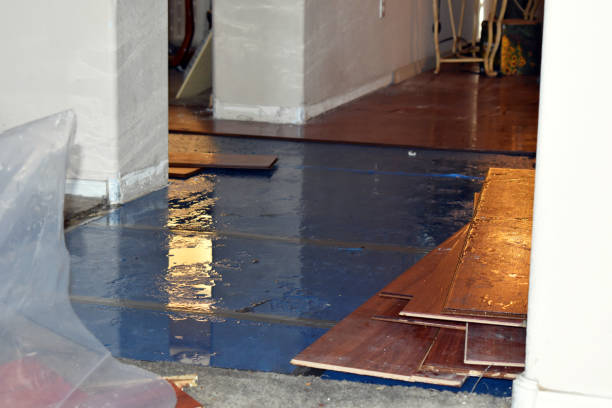 Professional Water Damage Restoration technician working in Villa Park, IL